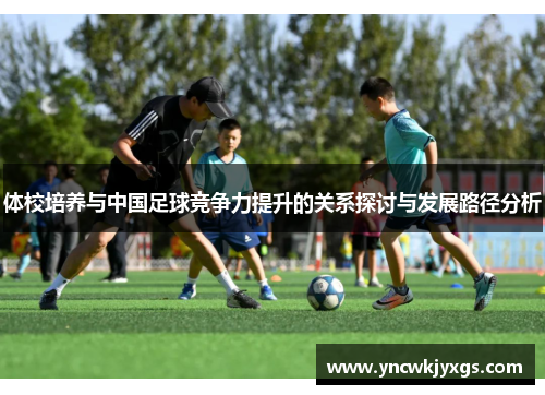 体校培养与中国足球竞争力提升的关系探讨与发展路径分析