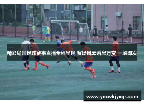 精彩岛国足球赛事直播全程呈现 赛场风云瞬息万变 一触即发